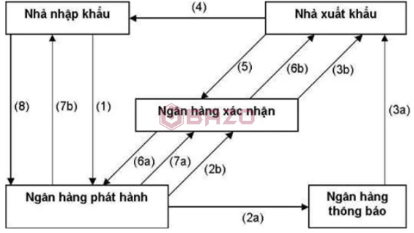 7. Sự Khác Biệt Giữa L/C Xác Nhận và Các Loại L/C Khác